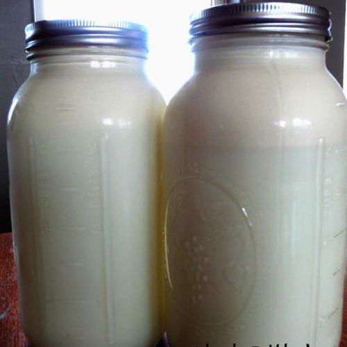 How To Get The Most From One Gallon Of Milk